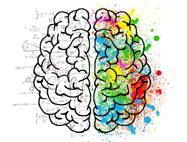 Mente al potere o Potere della Mente ?  Prova il Brain Training !