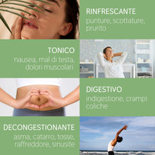 Load image into Gallery viewer, Olio Essenziale Menta Piperita puro alimentare Italiana Il Labirinto Officinale - Oli Essenziali Naturali - Olio essenziale per Diffusori e Umidificatori, Aromaterapia - 10ml