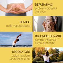 Load image into Gallery viewer, Olio Essenziale Finocchio Dolce puro alimentare Italiano Il Labirinto Officinale - Oli Essenziali Naturali - Olio essenziale per Diffusori e Umidificatori, Aromaterapia - 10ml