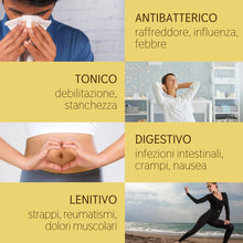Load image into Gallery viewer, Olio Essenziale di Zenzero puro alimentare Il Labirinto Officinale - Oli Essenziali Naturali - Olio essenziale per Diffusori e Umidificatori, Aromaterapia - Vegano - 10ml
