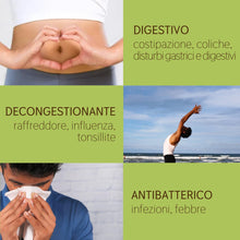 Load image into Gallery viewer, Olio Essenziale di Alloro puro alimentare Italiano Il Labirinto Officinale - Oli Essenziali Naturali - Olio essenziale per Diffusori e Umidificatori, Aromaterapia - Vegano - 10ml