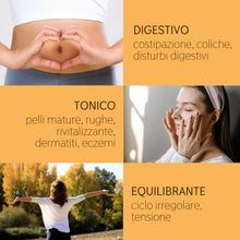 Load image into Gallery viewer, Olio Essenziale Carota Selvatica puro alimentare Italiana Il Labirinto Officinale - Oli Essenziali Naturali - Olio essenziale per Diffusori e Umidificatori, Aromaterapia - 2ml