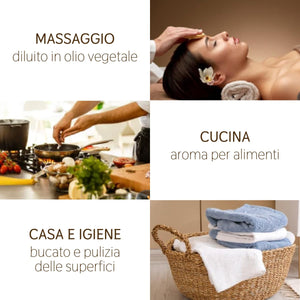 Olio Essenziale Pino Cembro Cirmolo puro Italiano Il Labirinto Officinale - Oli Essenziali Naturali - Olio essenziale per Diffusori e Umidificatori, Aromaterapia, Sauna - 10ml