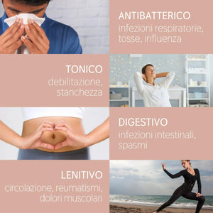 Olio Essenziale Cannella puro alimentare Il Labirinto Officinale - Oli Essenziali Naturali - Olio essenziale per Diffusori e Umidificatori, Aromaterapia, Vegano - 10ml