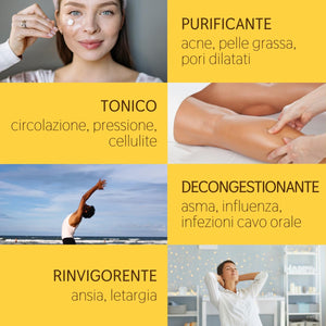 Olio Essenziale Limone alimentare puro Italiano Il Labirinto Officinale - Oli Essenziali Naturali - Olio essenziale per Diffusori e Umidificatori, Aromaterapia - 10ml