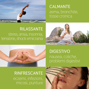Olio Essenziale Melissa puro alimentare italiana Il Labirinto Officinale - Oli Essenziali Naturali - Olio essenziale per Diffusori e Umidificatori, Aromaterapia, Sonno - 2ml