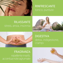 Load image into Gallery viewer, Olio Essenziale Verbena puro alimentare italiana Il Labirinto Officinale - Oli Essenziali Naturali - Olio essenziale per Diffusori e Umidificatori, Aromaterapia - Vegan - 5ml
