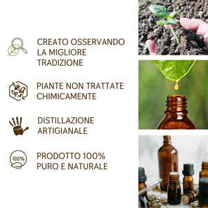Miscela Oli Essenziali puri Caldo Inverno speziato agrumato Il Labirinto Officinale - Oli Essenziali Naturali - Olio essenziale per Diffusori e Umidificatori, Aromaterapia - 10ml