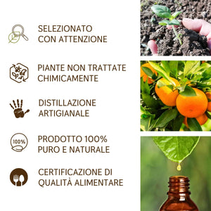 Olio Essenziale Arancio Dolce puro alimentare italiano Il Labirinto Officinale - Oli Essenziali Naturali - Olio essenziale per Diffusori e Umidificatori, Aromaterapia - 10ml