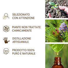 Carica l&#39;immagine nel visualizzatore di Gallery, Olio Essenziale Pino Cembro Cirmolo puro Italiano Il Labirinto Officinale - Oli Essenziali Naturali - Olio essenziale per Diffusori e Umidificatori, Aromaterapia, Sauna - 10ml