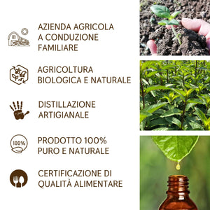 Olio Essenziale Menta Piperita puro alimentare Italiana Il Labirinto Officinale - Oli Essenziali Naturali - Olio essenziale per Diffusori e Umidificatori, Aromaterapia - 10ml