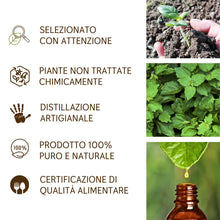Load image into Gallery viewer, Olio Essenziale Patchouli puro Il Labirinto Officinale - Alimentare, Oli Essenziali Naturali - Olio essenziale per Diffusori e Umidificatori, Aromaterapia - Vegan - 5ml