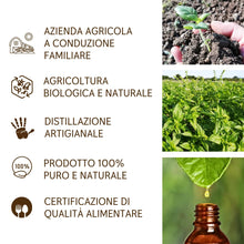 Load image into Gallery viewer, Olio Essenziale Basilico puro alimentare italiano Il Labirinto Officinale - Oli Essenziali Naturali - Olio essenziale per Diffusori e Umidificatori, Aromaterapia - Vegan - 10ml