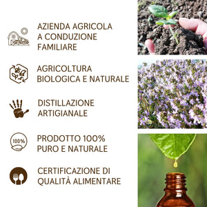 Olio Essenziale Timo puro alimentare Italiano Il Labirinto Officinale - Oli Essenziali Naturali - Olio essenziale per Diffusori e Umidificatori, Aromaterapia - 10ml