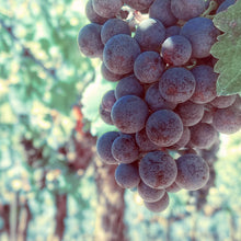 Load image into Gallery viewer, Naissance Olio di Vinaccioli (No. 210) - 100ml - Olio Vegetale Naturale, Puro e Vegano - Idratante per Corpo, Viso, Massaggio e Capelli