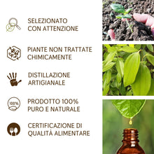 Load image into Gallery viewer, Olio Essenziale Cannella puro alimentare Il Labirinto Officinale - Oli Essenziali Naturali - Olio essenziale per Diffusori e Umidificatori, Aromaterapia, Vegano - 10ml