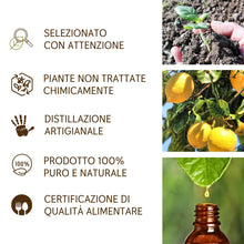 Load image into Gallery viewer, Olio Essenziale Limone alimentare puro Italiano Il Labirinto Officinale - Oli Essenziali Naturali - Olio essenziale per Diffusori e Umidificatori, Aromaterapia - 10ml