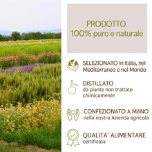 Load image into Gallery viewer, Olio Essenziale di Zenzero puro alimentare Il Labirinto Officinale - Oli Essenziali Naturali - Olio essenziale per Diffusori e Umidificatori, Aromaterapia - Vegano - 10ml