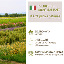 Carica l&#39;immagine nel visualizzatore di Gallery, Olio Essenziale Pino Cembro Cirmolo puro Italiano Il Labirinto Officinale - Oli Essenziali Naturali - Olio essenziale per Diffusori e Umidificatori, Aromaterapia, Sauna - 10ml