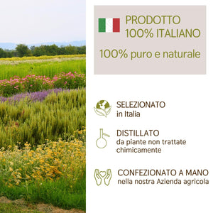 Olio Essenziale Pino Cembro Cirmolo puro Italiano Il Labirinto Officinale - Oli Essenziali Naturali - Olio essenziale per Diffusori e Umidificatori, Aromaterapia, Sauna - 10ml