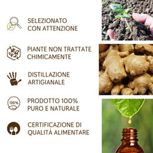 Load image into Gallery viewer, Olio Essenziale di Zenzero puro alimentare Il Labirinto Officinale - Oli Essenziali Naturali - Olio essenziale per Diffusori e Umidificatori, Aromaterapia - Vegano - 10ml