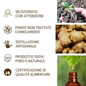 Olio Essenziale di Zenzero puro alimentare Il Labirinto Officinale - Oli Essenziali Naturali - Olio essenziale per Diffusori e Umidificatori, Aromaterapia - Vegano - 10ml
