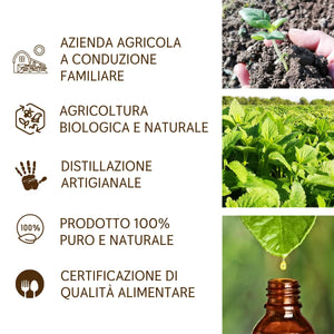 Olio Essenziale Melissa puro alimentare italiana Il Labirinto Officinale - Oli Essenziali Naturali - Olio essenziale per Diffusori e Umidificatori, Aromaterapia, Sonno - 2ml