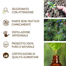 Load image into Gallery viewer, Olio Essenziale Ginepro puro alimentare Il Labirinto Officinale - Oli Essenziali Naturali - Olio essenziale per Diffusori e Umidificatori, Aromaterapia - Vegano - 5ml