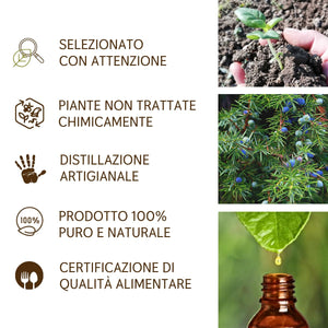 Olio Essenziale Ginepro puro alimentare Il Labirinto Officinale - Oli Essenziali Naturali - Olio essenziale per Diffusori e Umidificatori, Aromaterapia - Vegano - 5ml