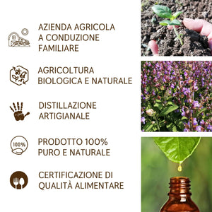 Olio Essenziale Salvia puro alimentare italiana Il Labirinto Officinale - Oli Essenziali Naturali - Olio essenziale per Diffusori e Umidificatori, Aromaterapia - Vegan - 10ml