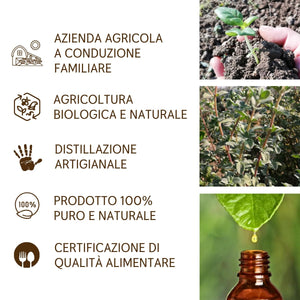 Olio Essenziale Maggiorana puro alimentare Italiana Il Labirinto Officinale - Oli Essenziali Naturali - Olio essenziale per Diffusori e Umidificatori, Aromaterapia - 5ml