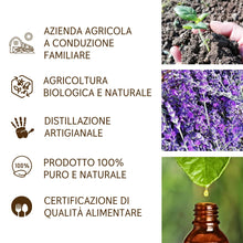 Load image into Gallery viewer, Olio Essenziale Lavanda puro Alimentare Italiana Il Labirinto Officinale - Oli Essenziali Naturali - Olio essenziale per Diffusori e Umidificatori, Aromaterapia - 10ml