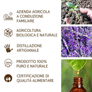 Olio Essenziale Lavanda puro Alimentare Italiana Il Labirinto Officinale - Oli Essenziali Naturali - Olio essenziale per Diffusori e Umidificatori, Aromaterapia - 10ml