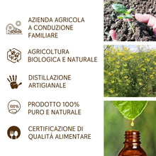 Load image into Gallery viewer, Olio Essenziale Finocchio Dolce puro alimentare Italiano Il Labirinto Officinale - Oli Essenziali Naturali - Olio essenziale per Diffusori e Umidificatori, Aromaterapia - 10ml