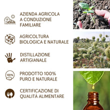 Load image into Gallery viewer, Olio Essenziale Carota Selvatica puro alimentare Italiana Il Labirinto Officinale - Oli Essenziali Naturali - Olio essenziale per Diffusori e Umidificatori, Aromaterapia - 2ml