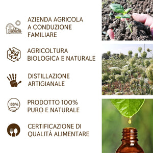 Olio Essenziale Carota Selvatica puro alimentare Italiana Il Labirinto Officinale - Oli Essenziali Naturali - Olio essenziale per Diffusori e Umidificatori, Aromaterapia - 2ml