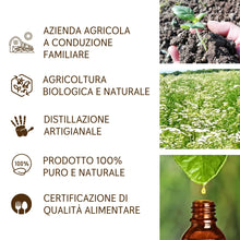 Cargar imagen en el visor de la galería, Olio Essenziale Achillea puro alimentare italiana Il Labirinto Officinale - Oli Essenziali Naturali - Olio essenziale per Diffusori e Umidificatori, Aromaterapia - 2ml