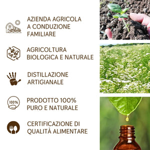 Olio Essenziale Achillea puro alimentare italiana Il Labirinto Officinale - Oli Essenziali Naturali - Olio essenziale per Diffusori e Umidificatori, Aromaterapia - 2ml