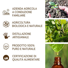 Load image into Gallery viewer, Olio Essenziale di Alloro puro alimentare Italiano Il Labirinto Officinale - Oli Essenziali Naturali - Olio essenziale per Diffusori e Umidificatori, Aromaterapia - Vegano - 10ml