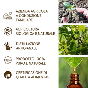 Olio Essenziale di Alloro puro alimentare Italiano Il Labirinto Officinale - Oli Essenziali Naturali - Olio essenziale per Diffusori e Umidificatori, Aromaterapia - Vegano - 10ml