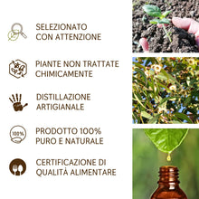 Load image into Gallery viewer, Olio Essenziale Eucalipto puro alimentare Il Labirinto Officinale - Oli Essenziali Naturali - Olio essenziale per Diffusori e Umidificatori, Aromaterapia, Vegan - 10ml