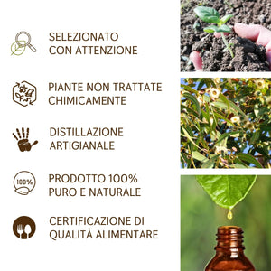 Olio Essenziale Eucalipto puro alimentare Il Labirinto Officinale - Oli Essenziali Naturali - Olio essenziale per Diffusori e Umidificatori, Aromaterapia, Vegan - 10ml