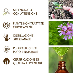 Olio Essenziale Geranio puro Il Labirinto Officinale - Alimentare, Oli Essenziali Naturali - Olio essenziale per Diffusori e Umidificatori, Aromaterapia - Vegan - 10ml