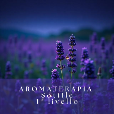 El esencial en GOTS © - Thin Aromatherapy 1st Level - Study Home