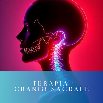 Sacral Skull Upledger Method 1 session