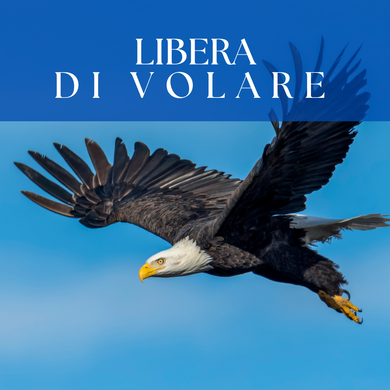 LDV - Formación de maestría