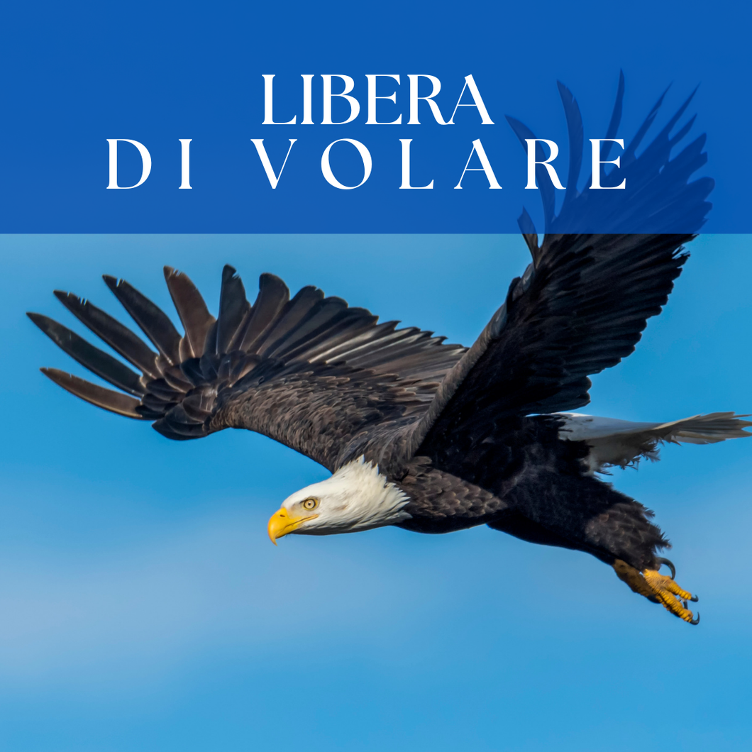 Consulto  Libera di Volare - Mastery Training
