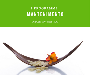 Maintenance program