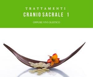 Sacral Skull Upledger Method 1 session