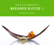 Load image into Gallery viewer, Holistic Massage 1 session
